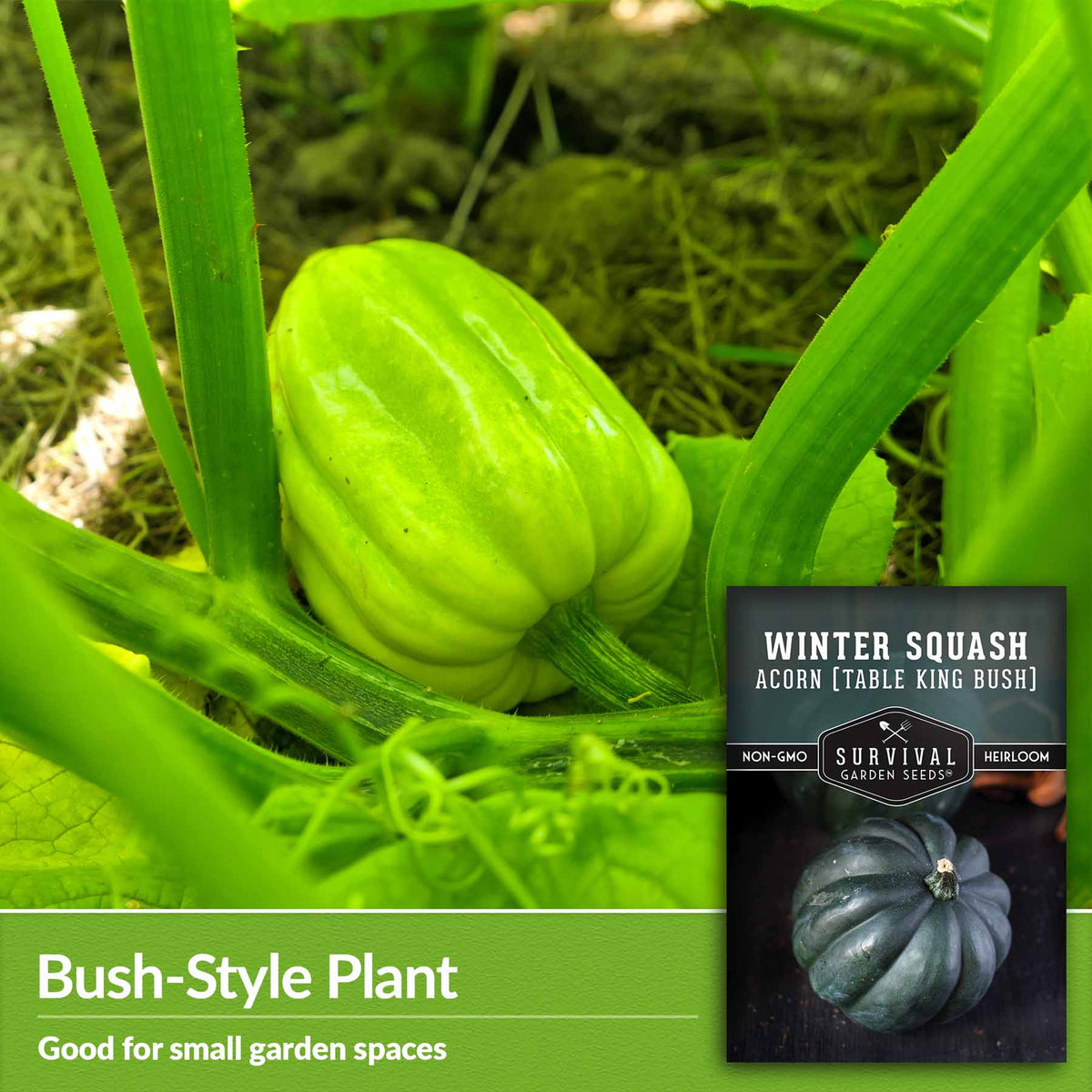 Bush style plant