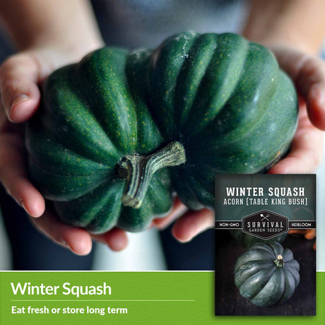 Winter Squash