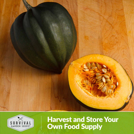 Harvest and store your own food supply