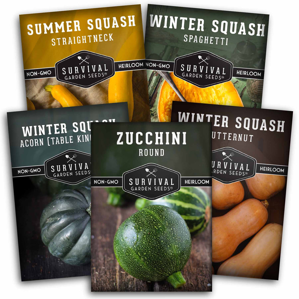 Squash Seed Collection - Winter & Summer Squash