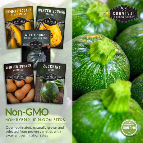 non-gmo, non-hybrid heirloom seeds