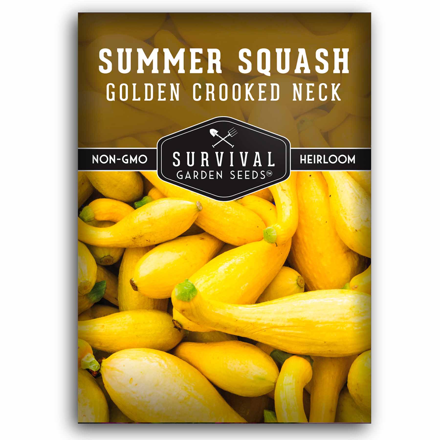 1 packet of Crooked Neck Squash seeds