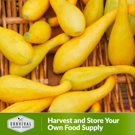 Harvest and store your own food supply