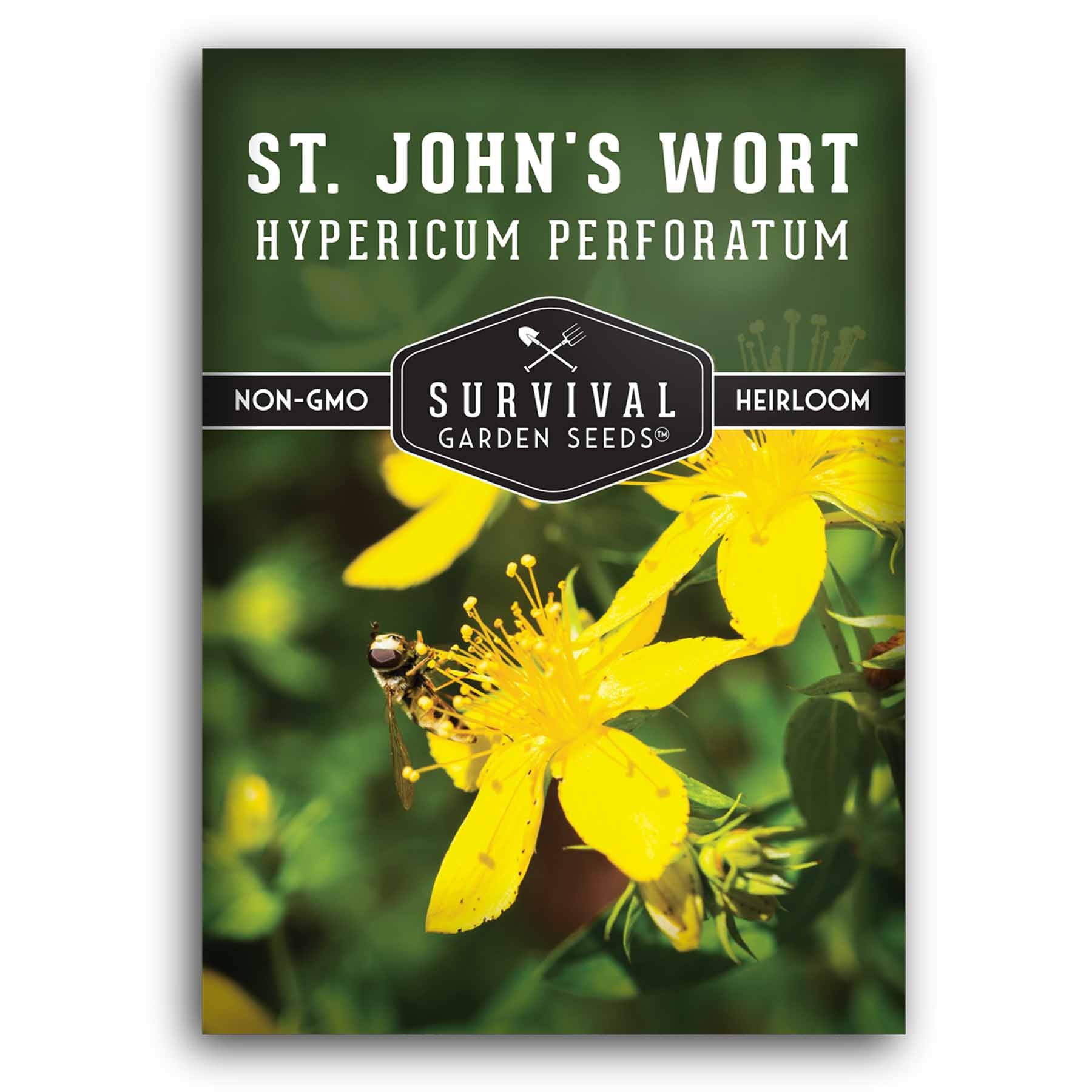 1 packet of St. John's Wort seeds