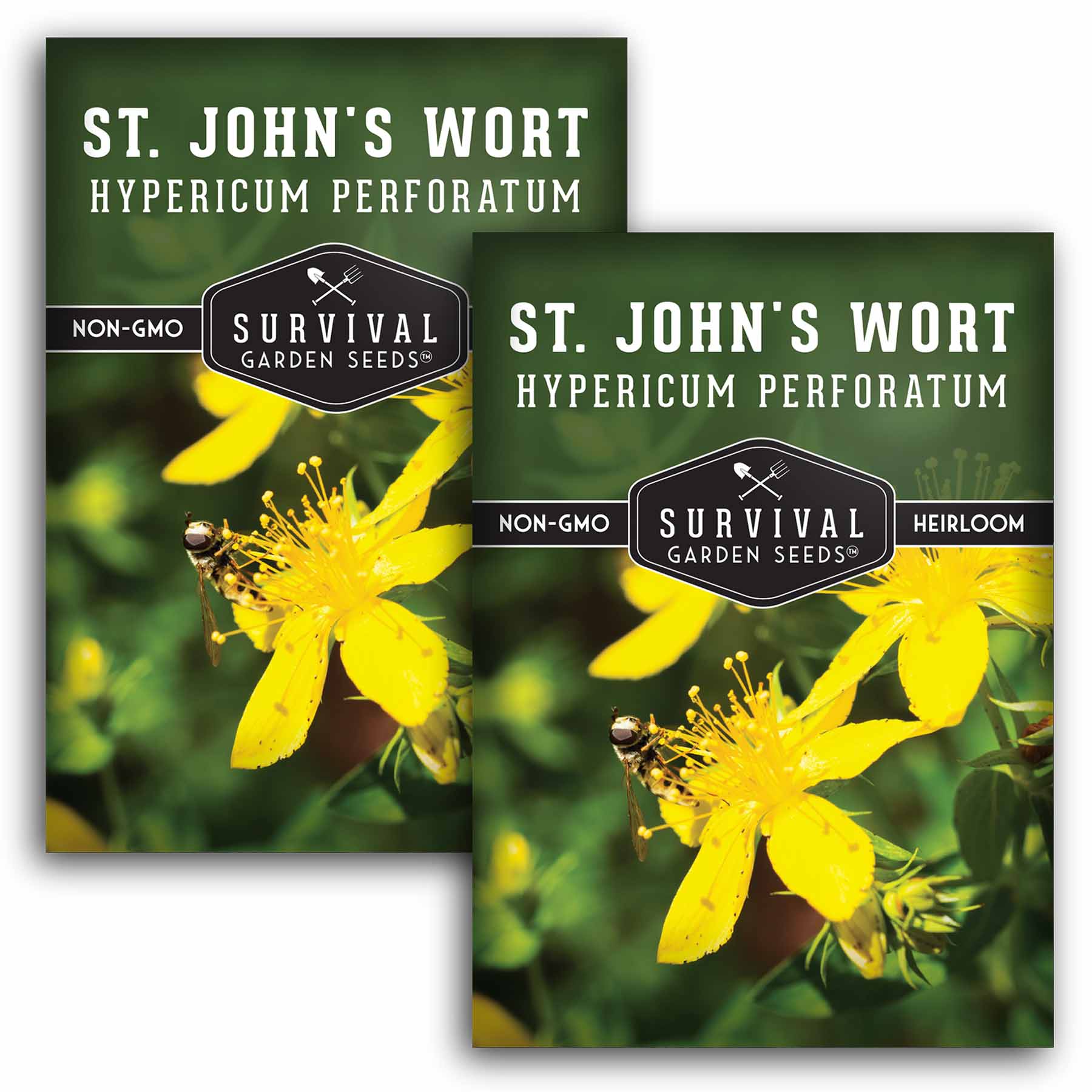 St. John’s Wort Seeds - Hypericum Perforatum - SurvivalGardenSeeds