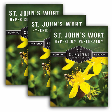 3 packets of St. John's Wort seeds