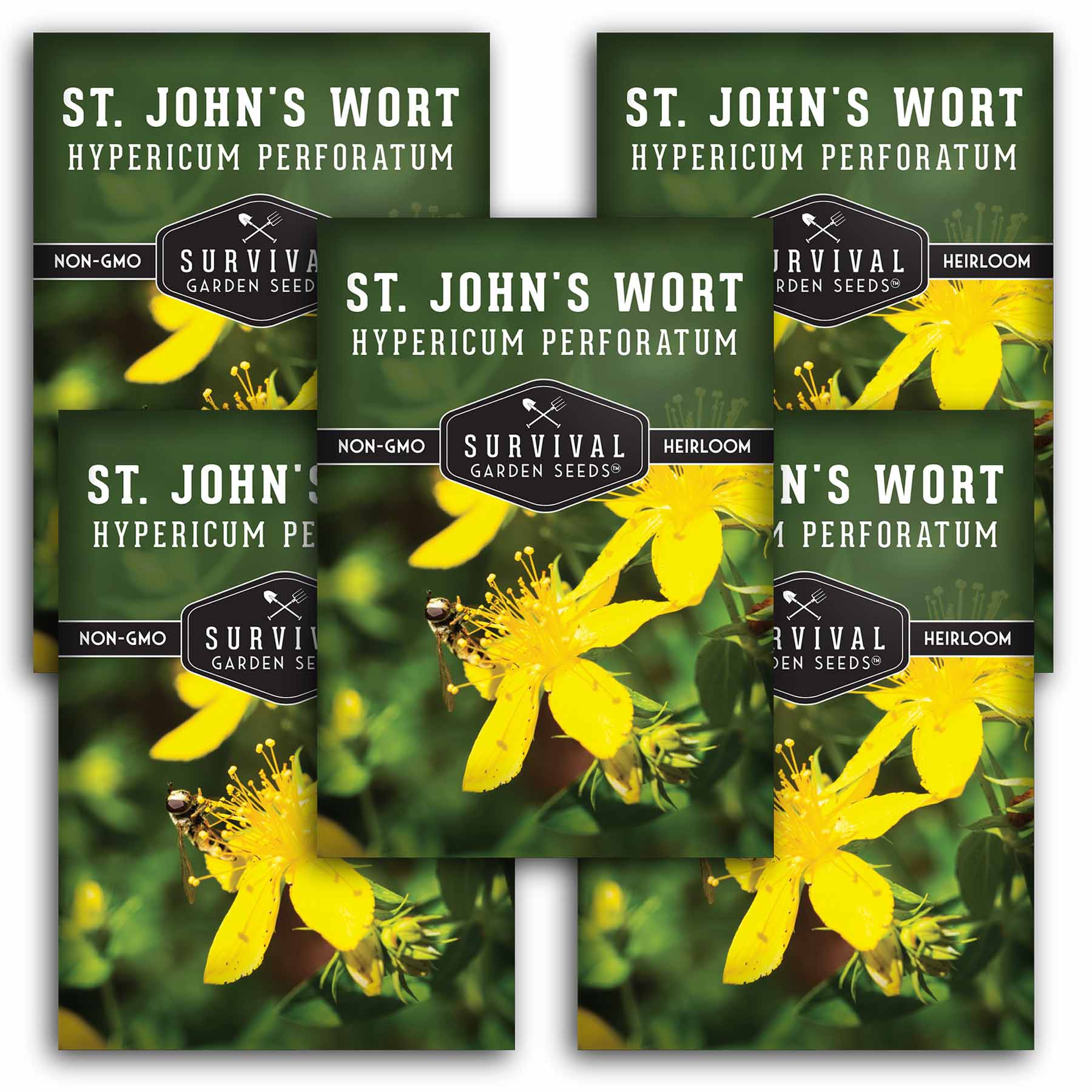 St. John’s Wort Seeds - Hypericum Perforatum - SurvivalGardenSeeds