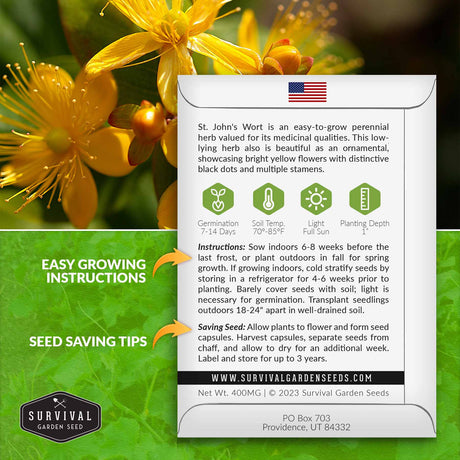 St. John's Wort growing instructions