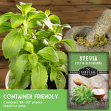 Stevia plant with a seed packet labeled 'Survival Garden Seeds' on a wooden background.