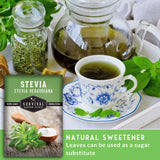 Stevia Seeds - Sweetleaf