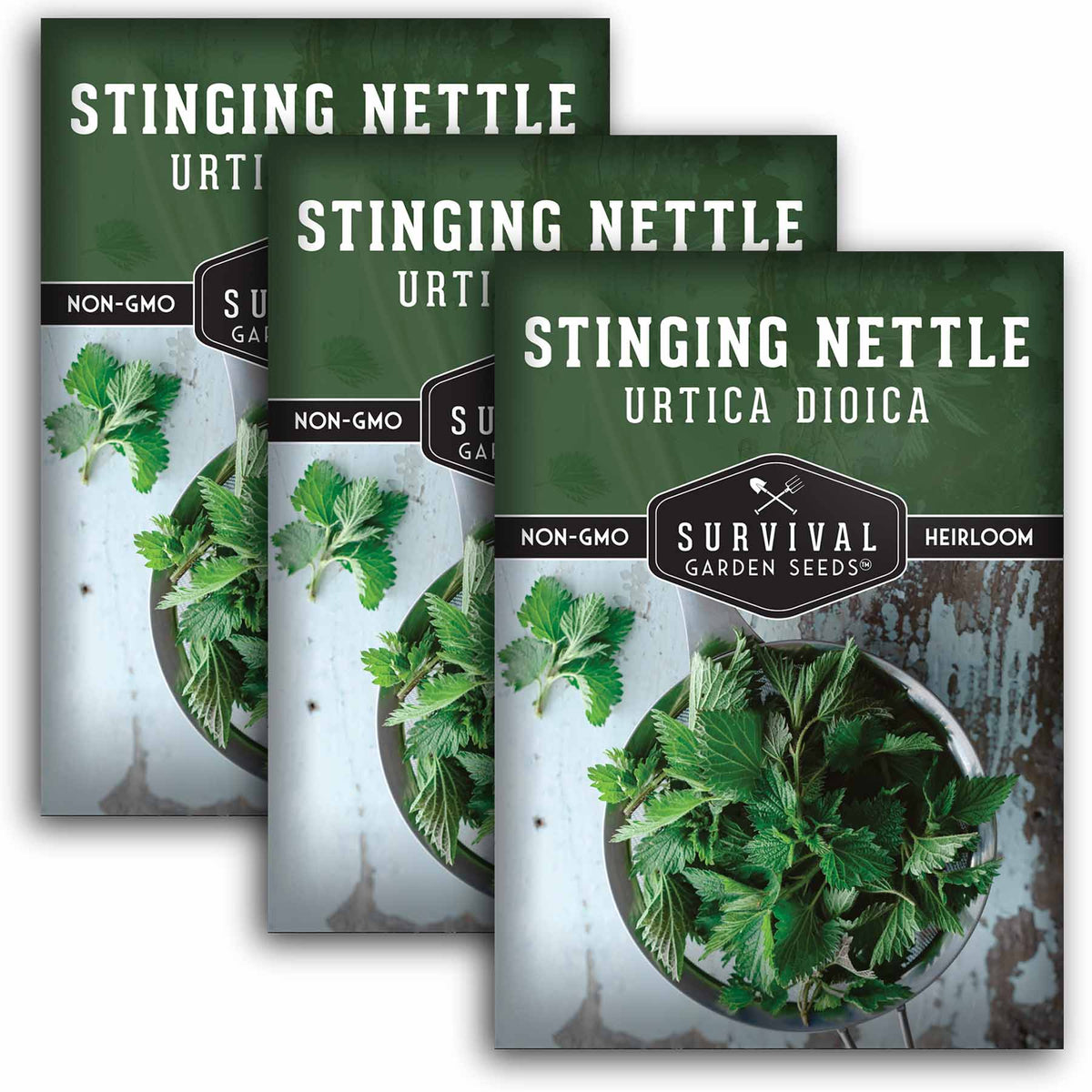 Common Nettle, native vegetable plants for sale