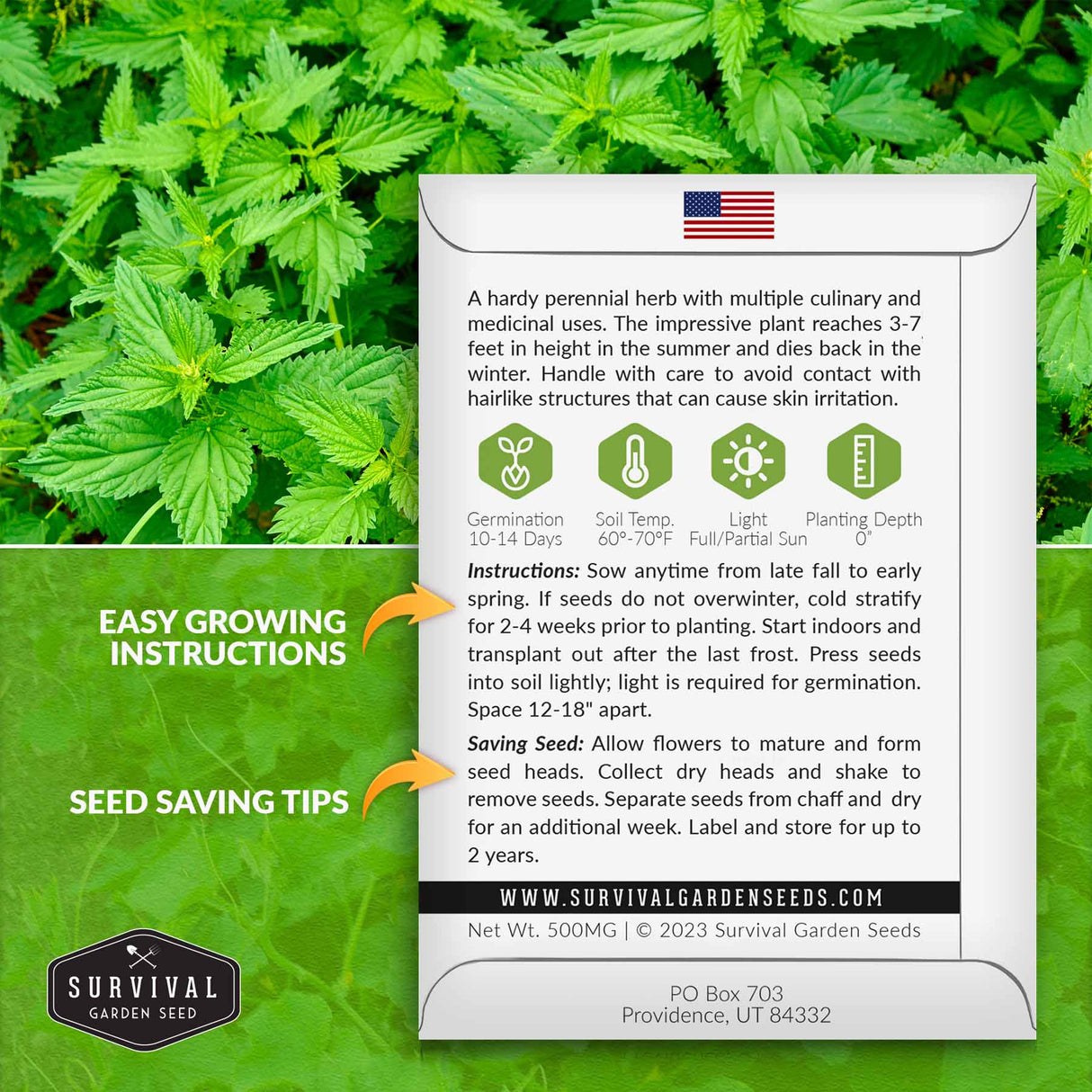 Stinging nettle seed growing instructions