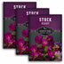 3 packets of Hoary Stock seeds