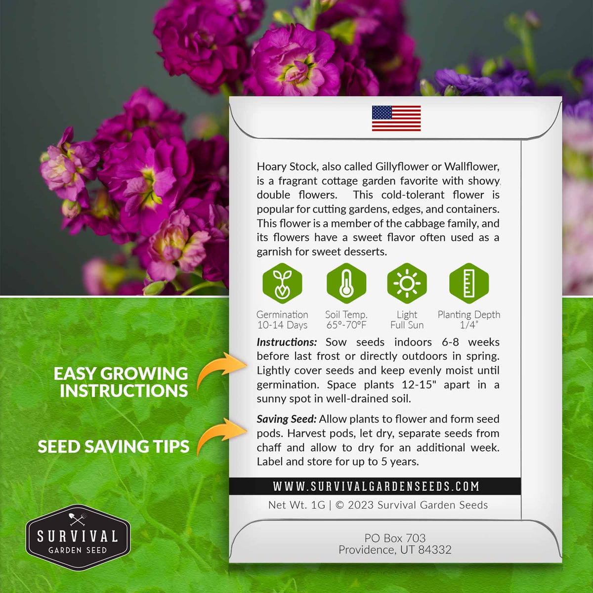 Hoary Stock seed growing instructions