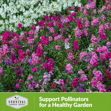 Support pollinators for a healthy garden