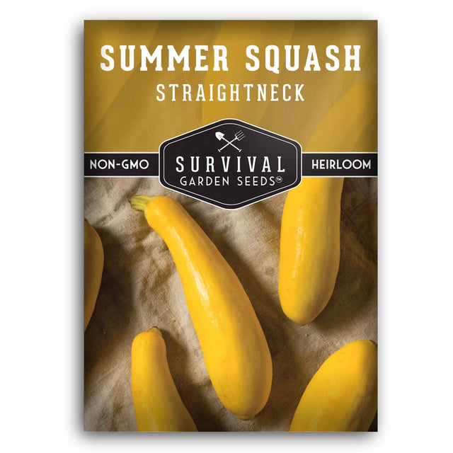 Straightneck Summer squash seeds