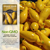 non-gmo summer squash seeds