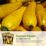 Summer squash