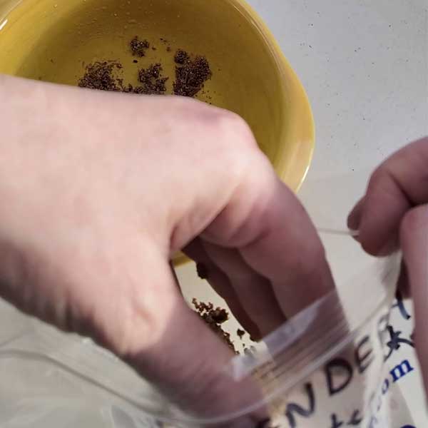Moving moist sand with flower seeds to a labeled storage bag
