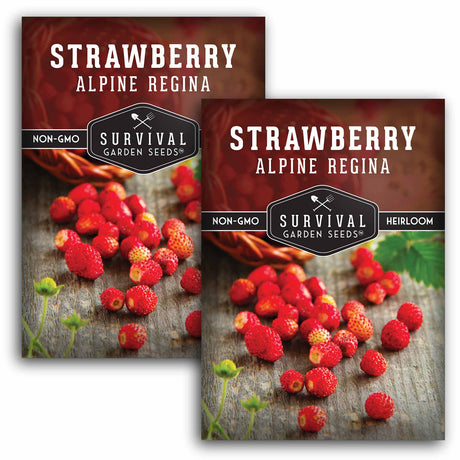 Alpine Regina Strawberry Seeds - Wild Strawberry