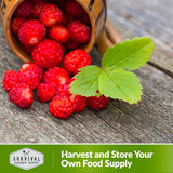 Harvest and store your own food supply