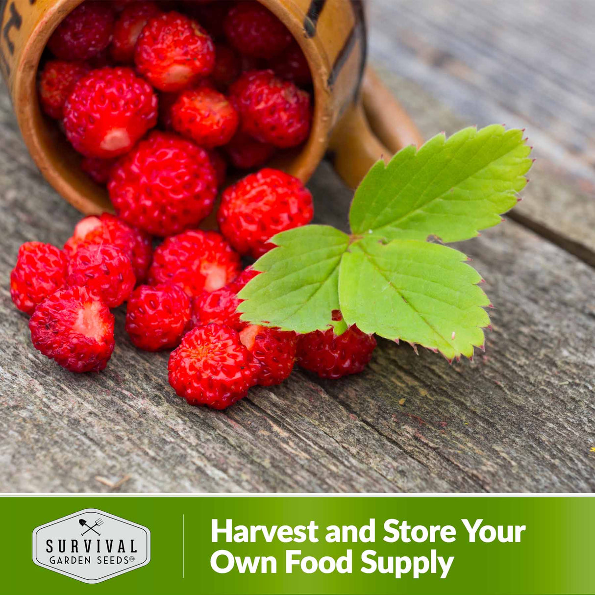 Harvest and Store your own food supply