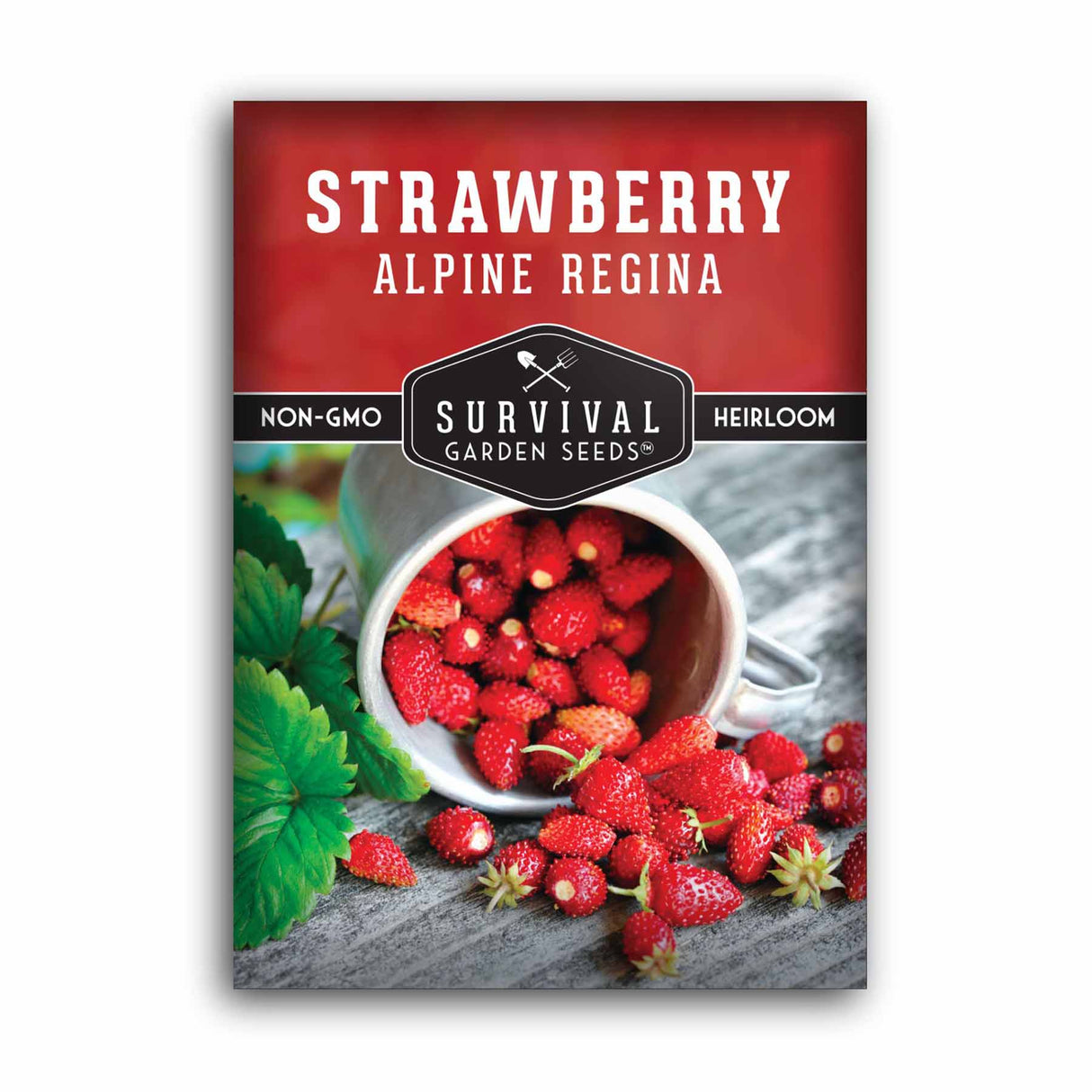 Alpine Regina Strawberry seeds
