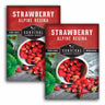 2 Packets of Alpine Regina Strawberry seeds