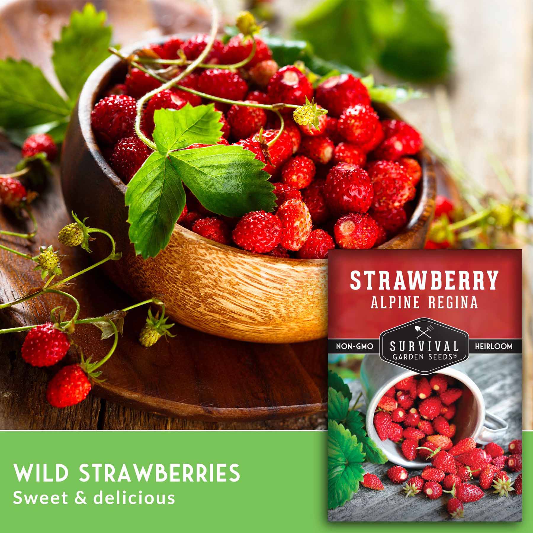 Alpine Regina Wild Strawberry Seeds – SurvivalGardenSeeds