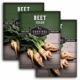 3 Packets of Sugar Beet Seeds