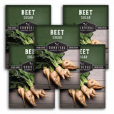 Sugar Beet Seeds - High Sucrose Root Vegetable