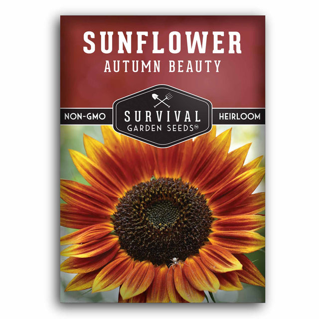 Autumn Beauty Sunflower Seed Packet