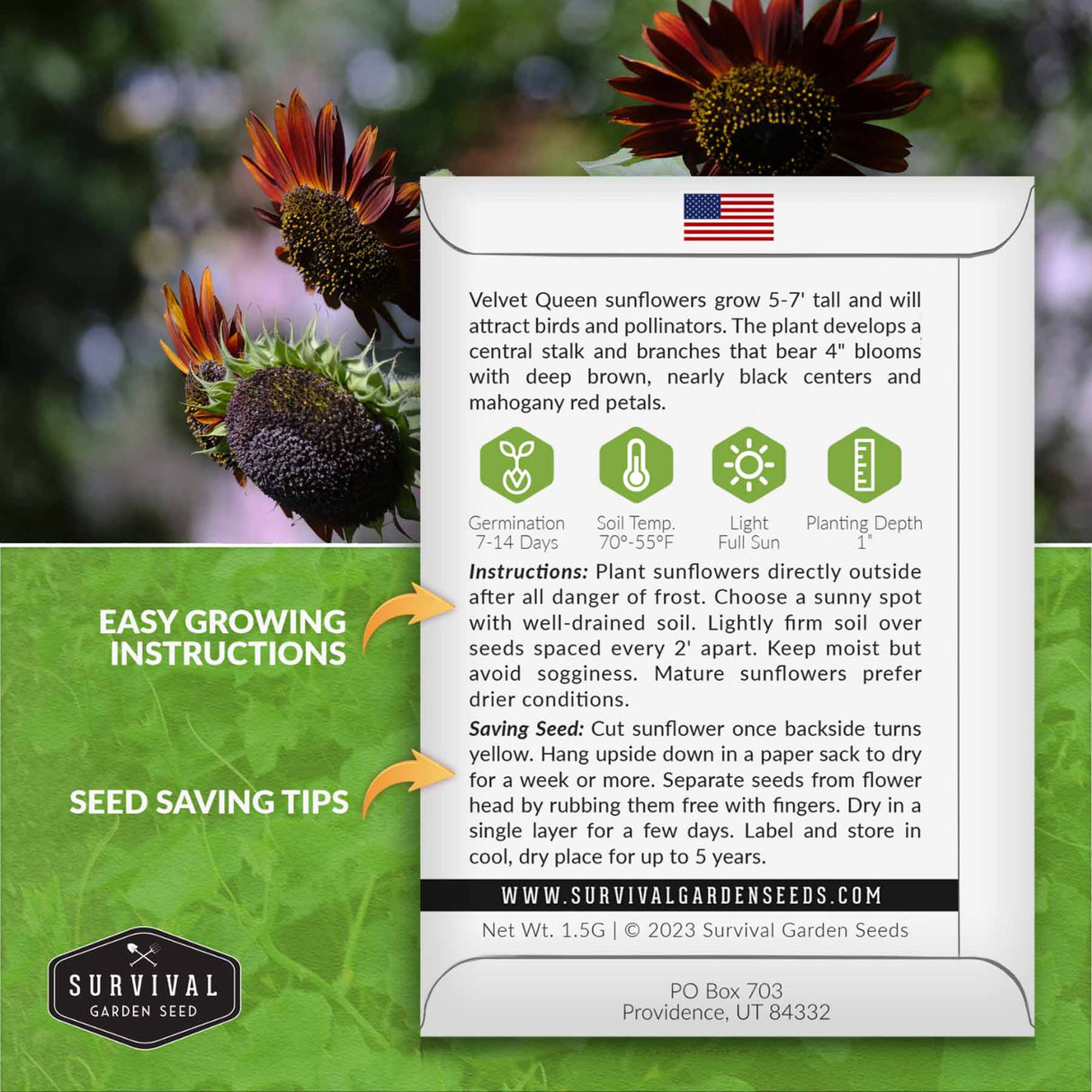 Velvet queen sunflower seed planting instructions