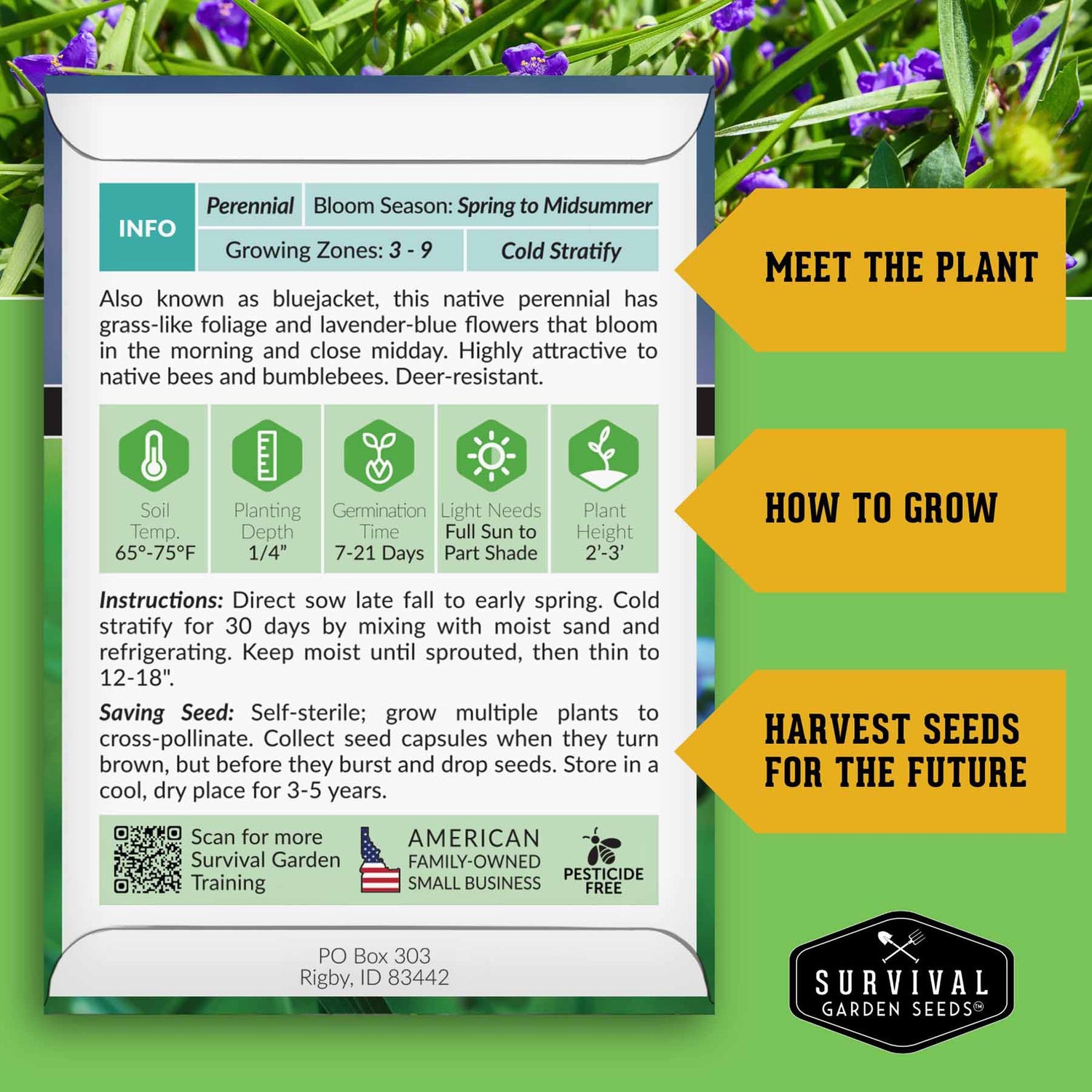 Survival Garden Seeds packaging with plant information and branding on a green background
