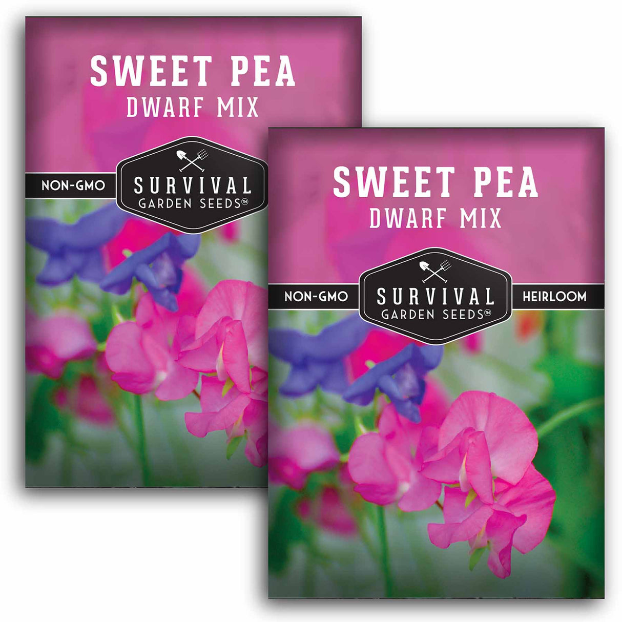 2 packets of Sweet Pea seeds