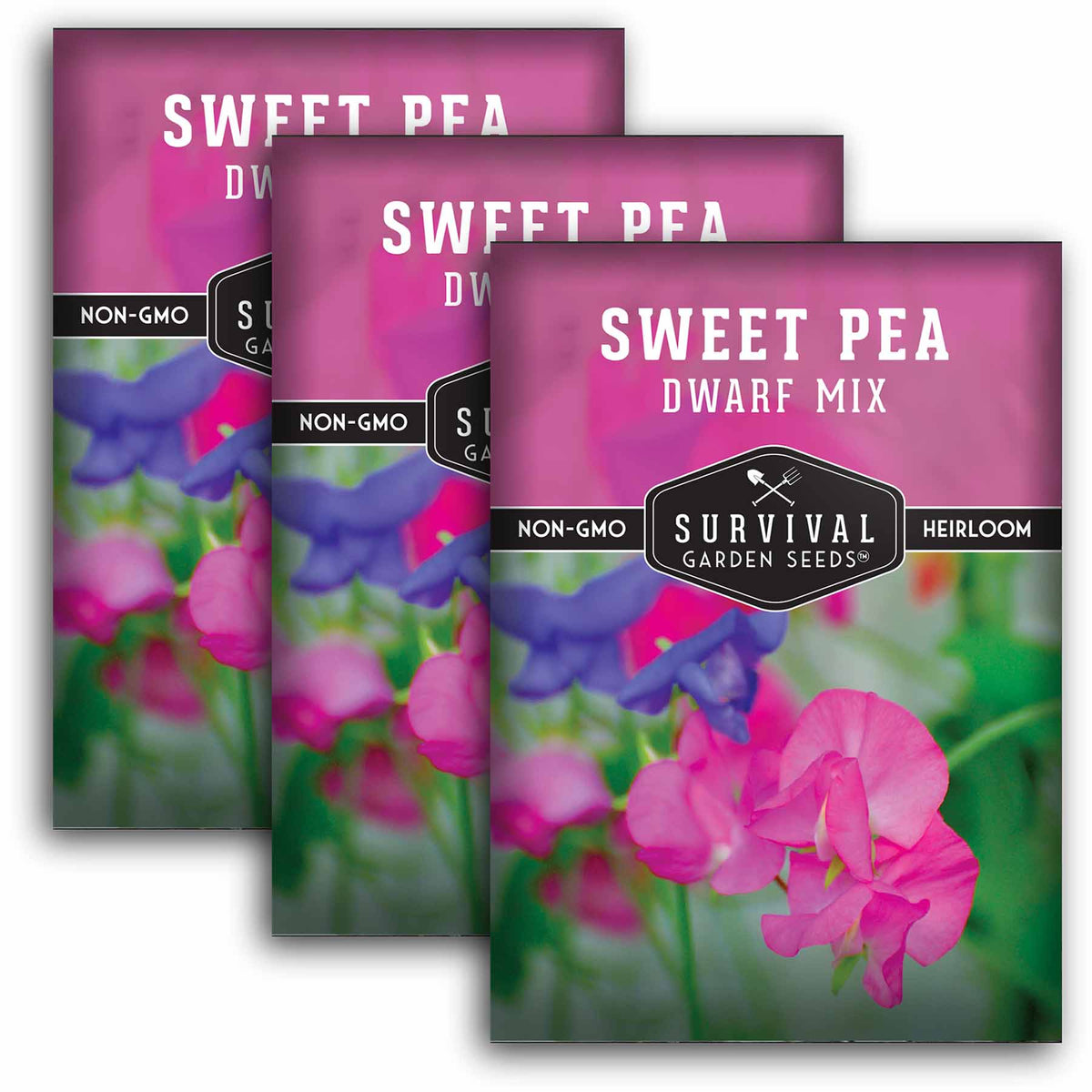 3 packets of Sweet Pea seeds