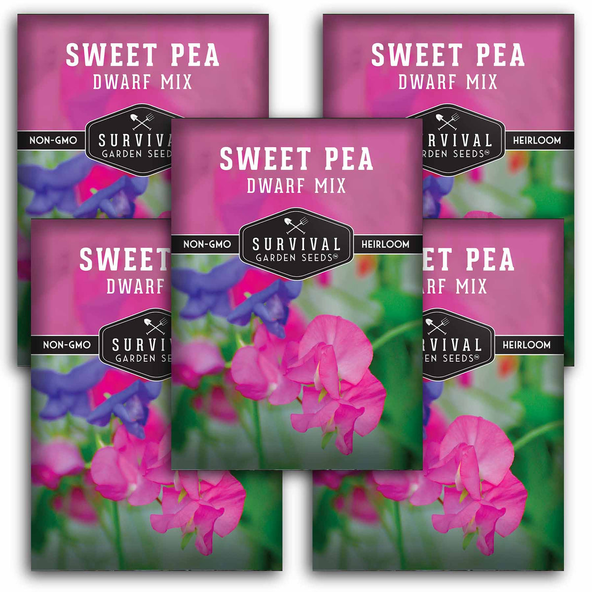 5 packets of Sweet Pea seeds
