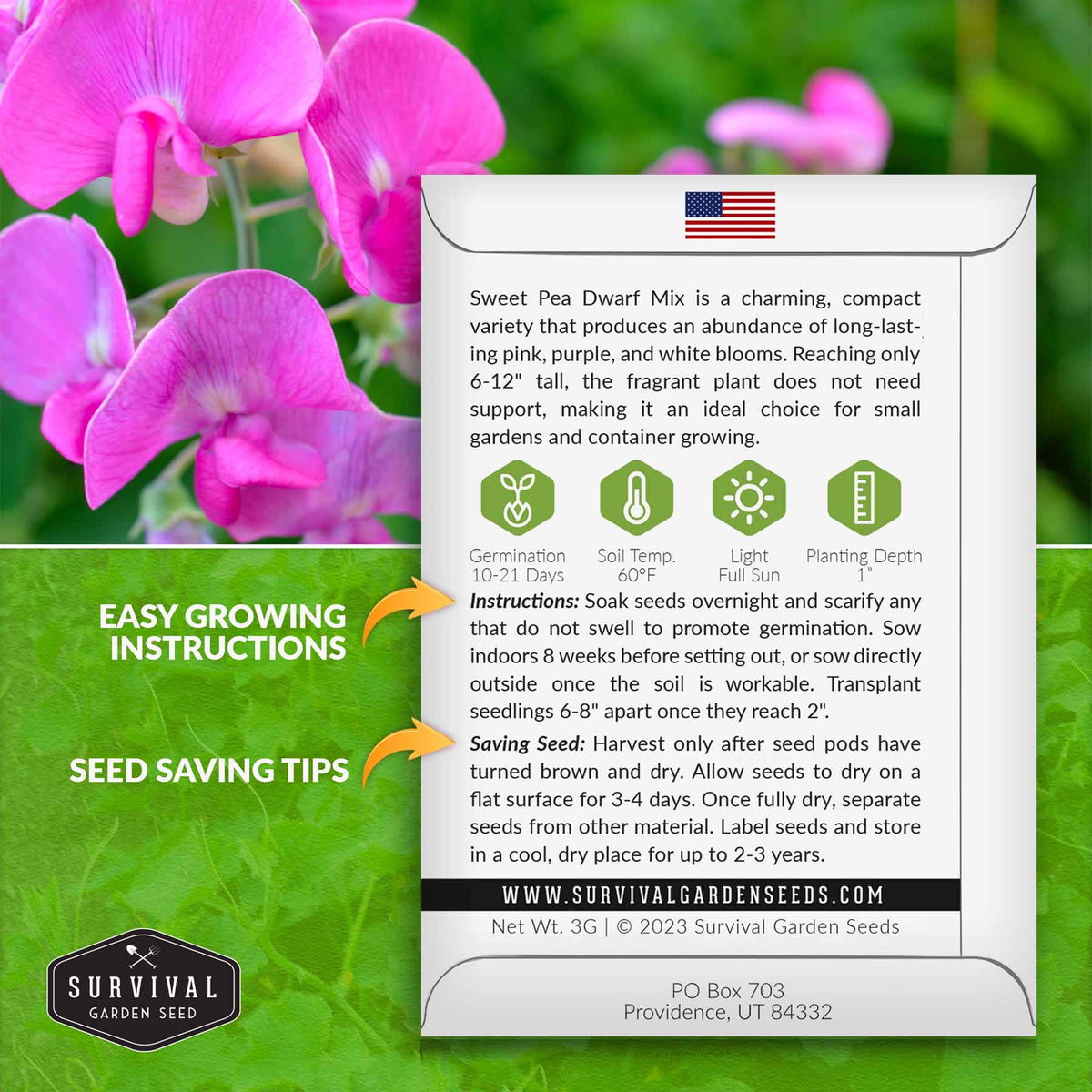 Sweet Pea seed growing instructions