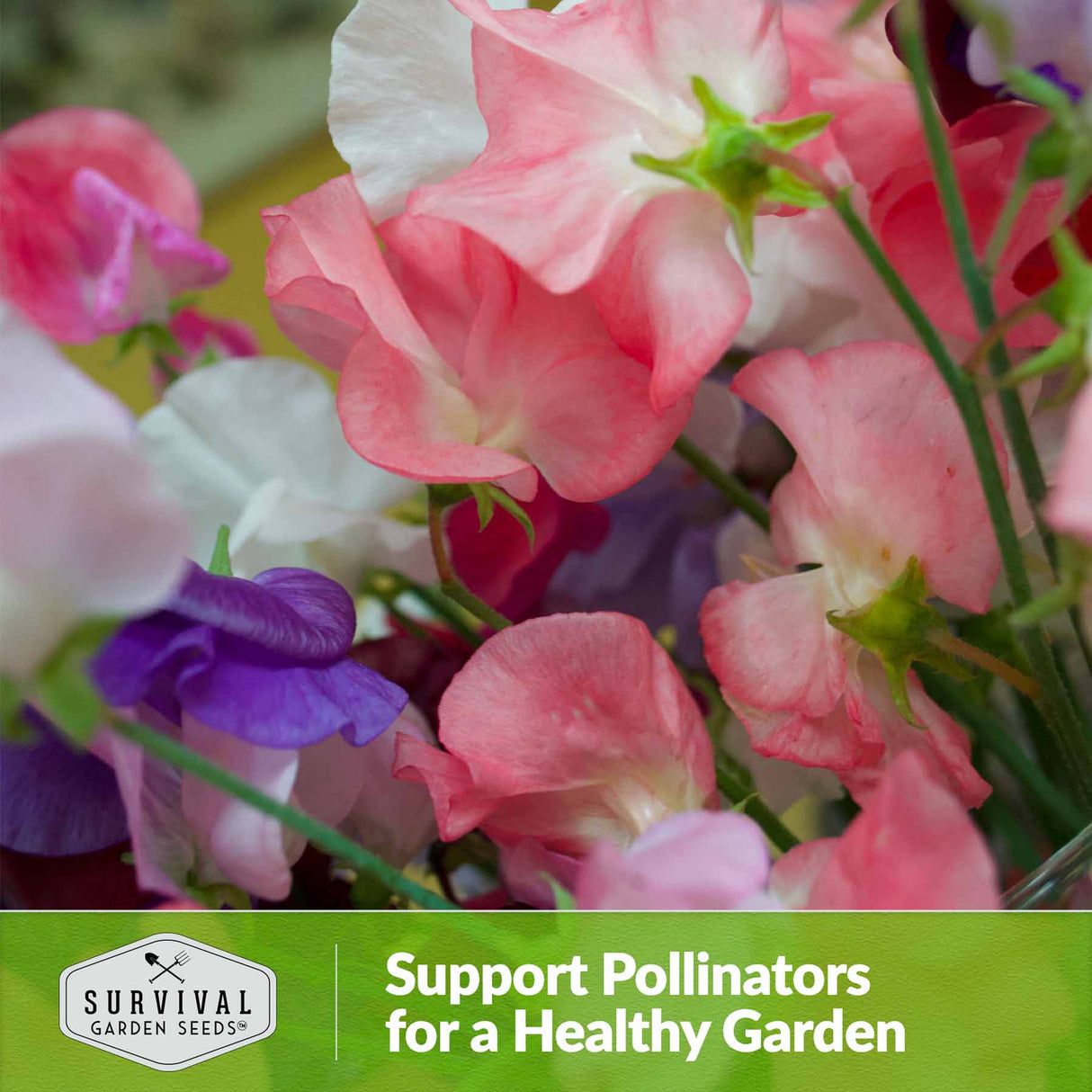 Support pollinators for a healthy garden