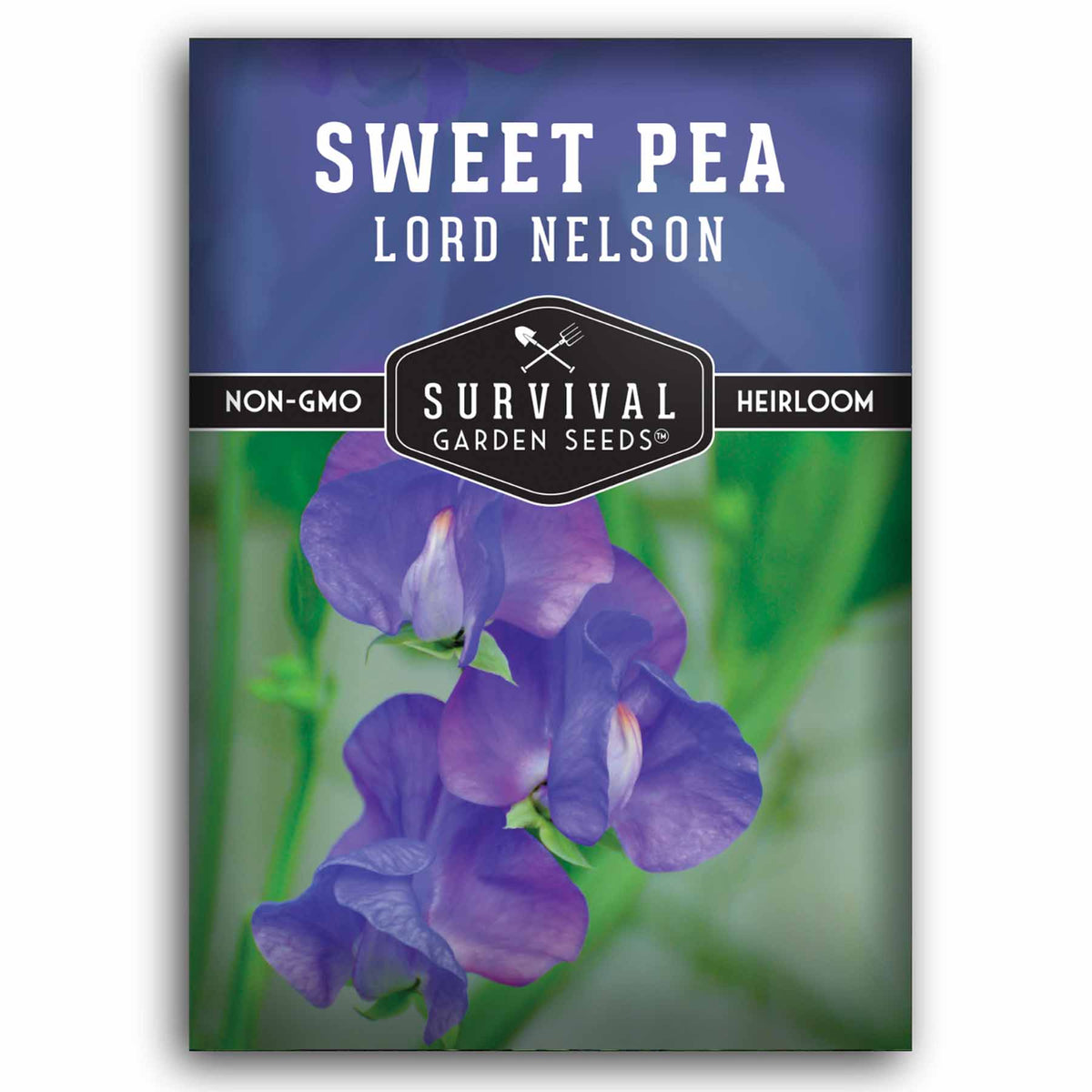 1 packet of Lord Nelson Sweet Pea seeds