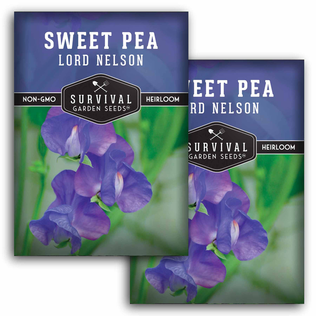 2 packets of Lord Nelson Sweet Pea seeds