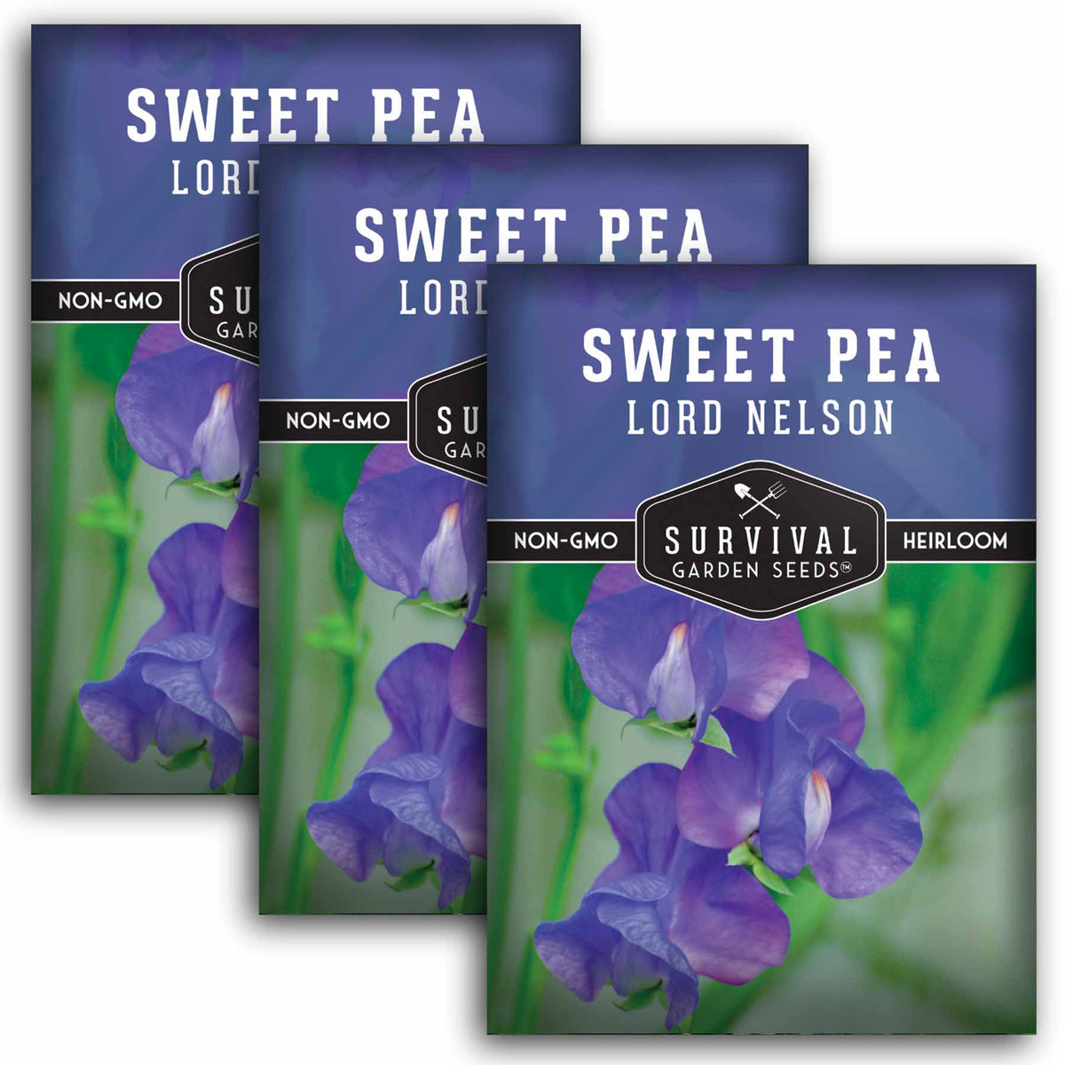 3 packets of Lord Nelson Sweet Pea seeds