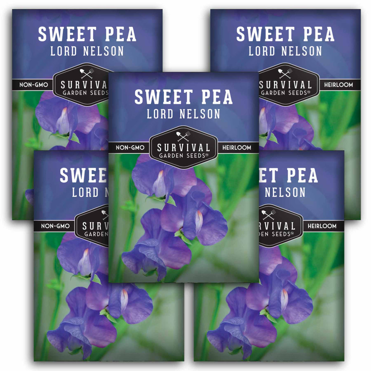 5 packets of Lord Nelson Sweet Pea seeds