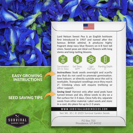 Lord Nelson Sweet pea seed growing instructions