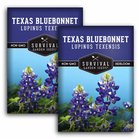 2 packets of Texas Bluebonnet seeds