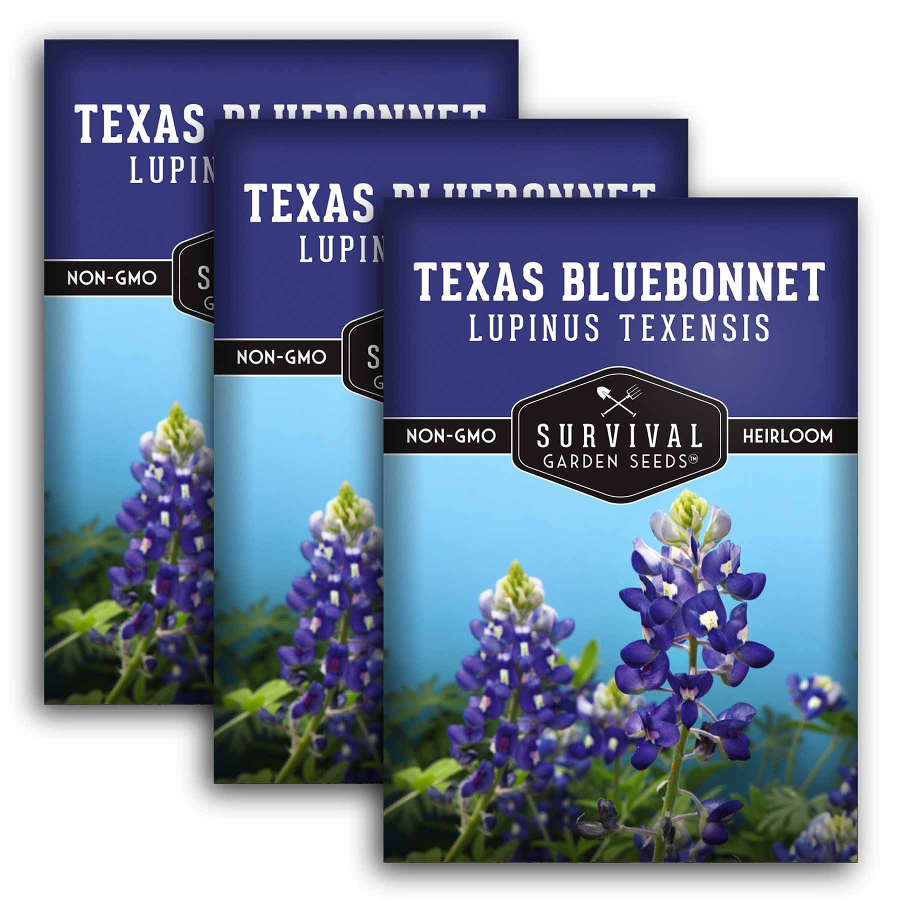 Survival Garden Seeds Texas Bluebonnet Seeds - Thumbnail 2