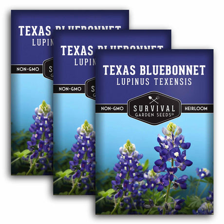 3 packets of Texas Bluebonnet seeds