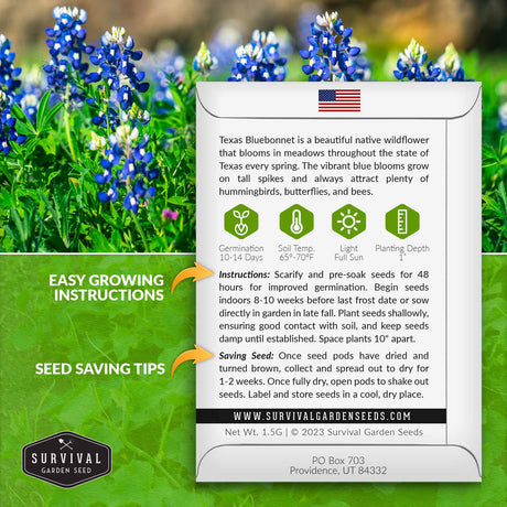 Texas Bluebonnet seed growing instructions