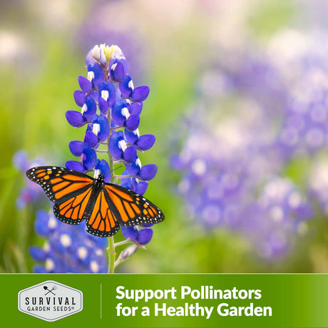 support pollinators for a healthy garden