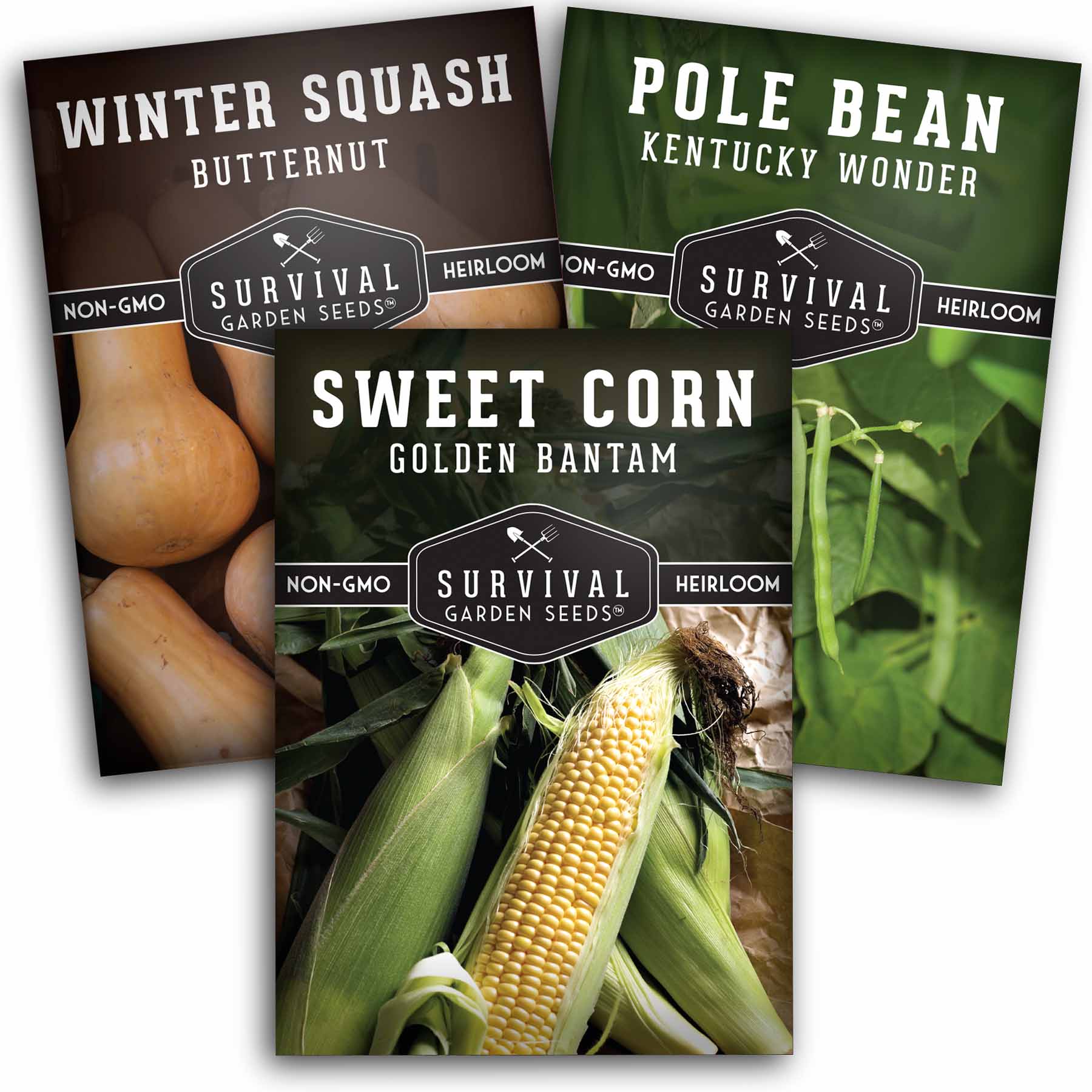 three sisters garden seeds Three Sisters Seed Collection – Heirloom Corn Pole Beans & Butternut Squash for Companion Planting